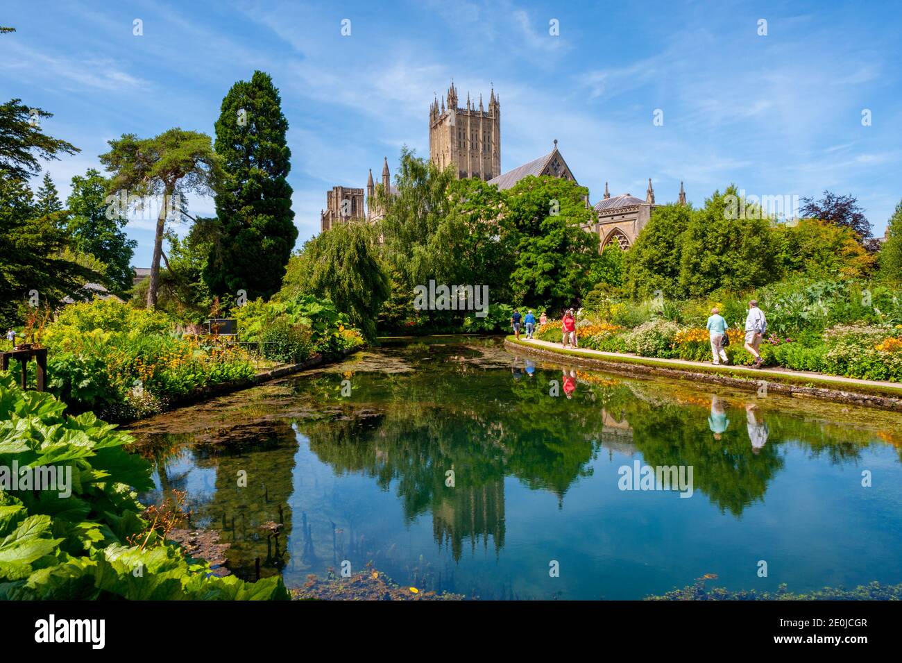 Brunnen Kathedrale aus dem Pool im Bischofspalast Stockfoto