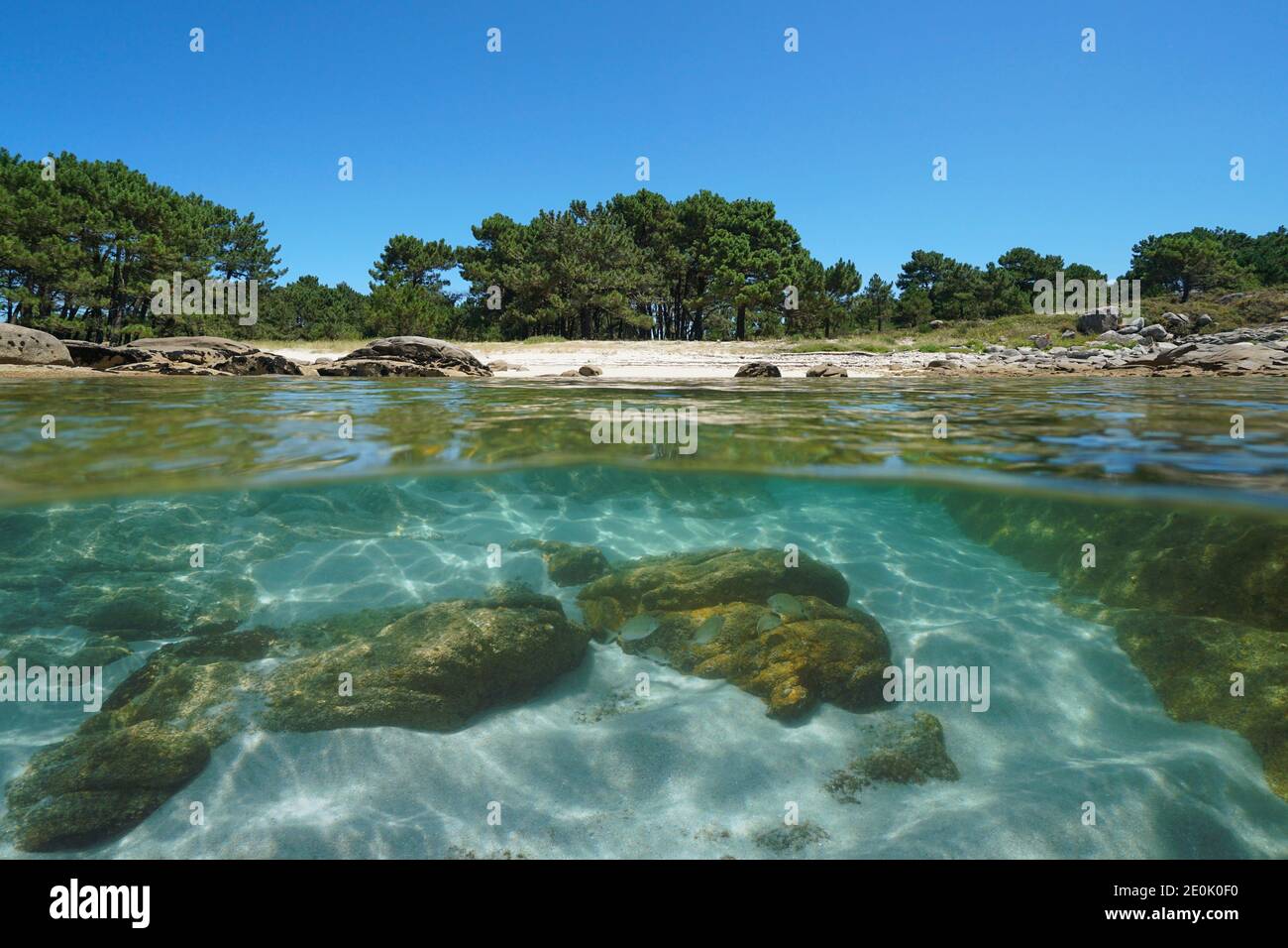 Spanien Galizien, ruhige Küstenlinie Split Blick über und unter Wasser Oberfläche, Illa de Arousa, Atlantik, Pontevedra Provinz Stockfoto