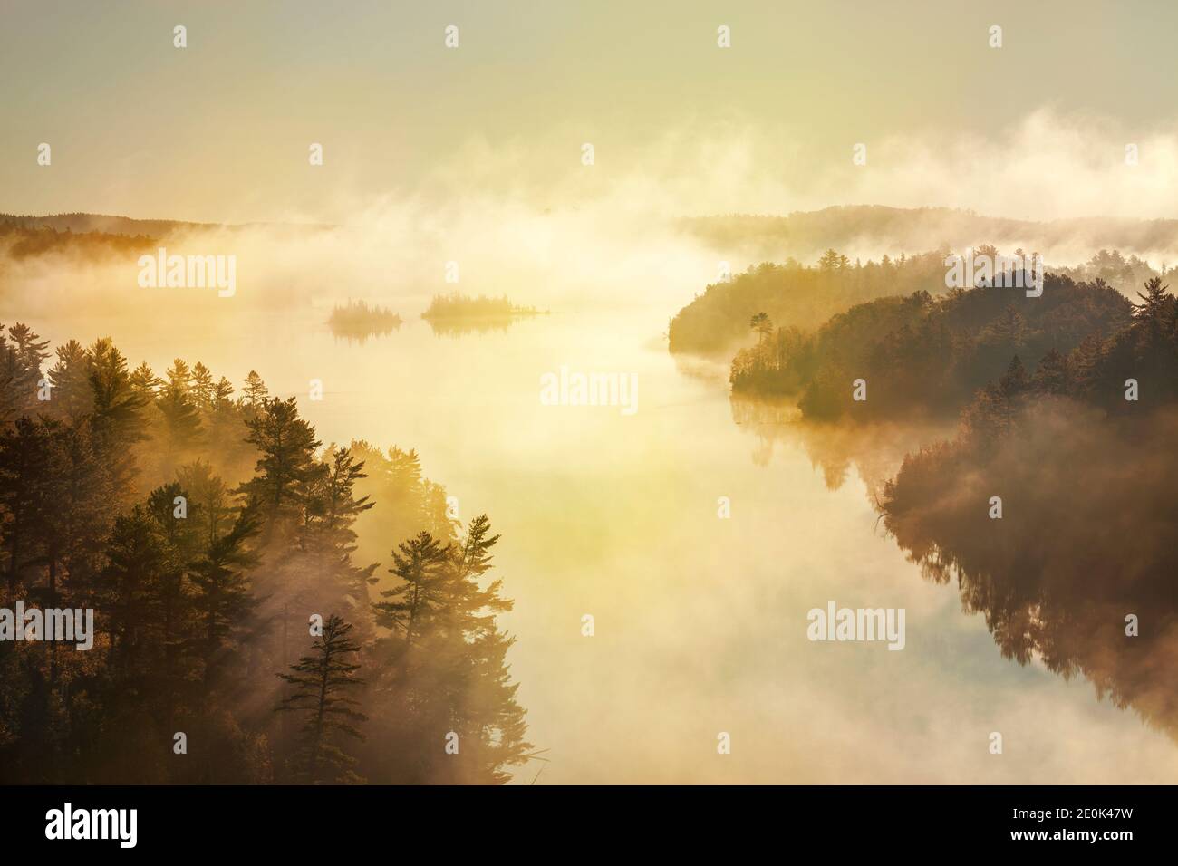 Blick aus dem hohen Winkel auf den nebligen See und Pinien sonnenaufgang in den Grenzgewässern von Minnesota Stockfoto