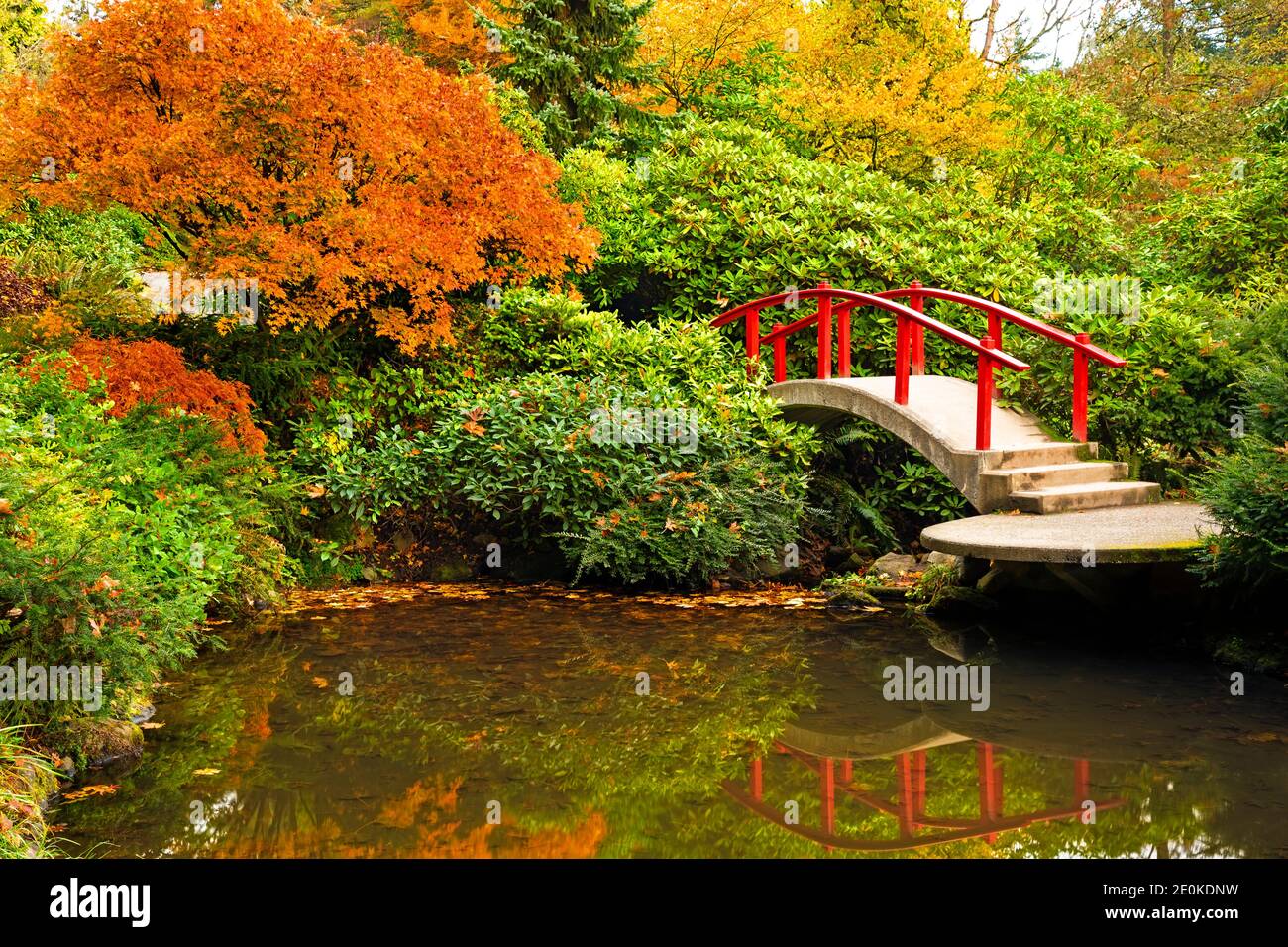 WA18958-00...WASHINGTON - Moon Bridge spiegelt sich in einem kleinen Pool im Kubota Garden, einem Stadtpark von Seattle. Stockfoto