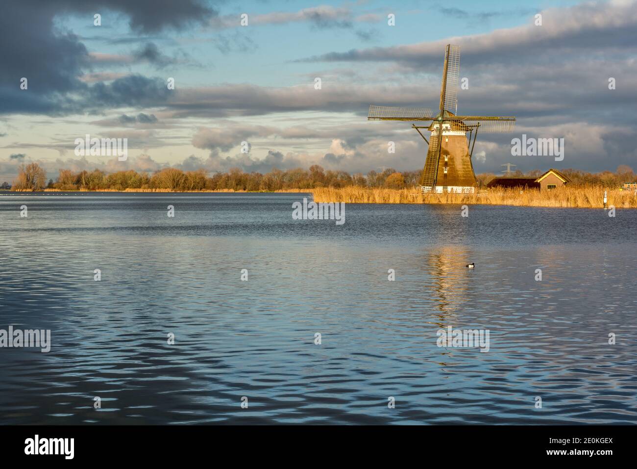 Bergse Plas Stockfoto