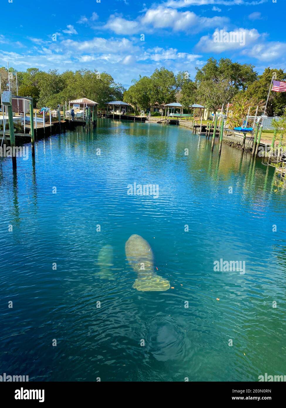 manatee in drei Schwestern Frühling Stockfoto