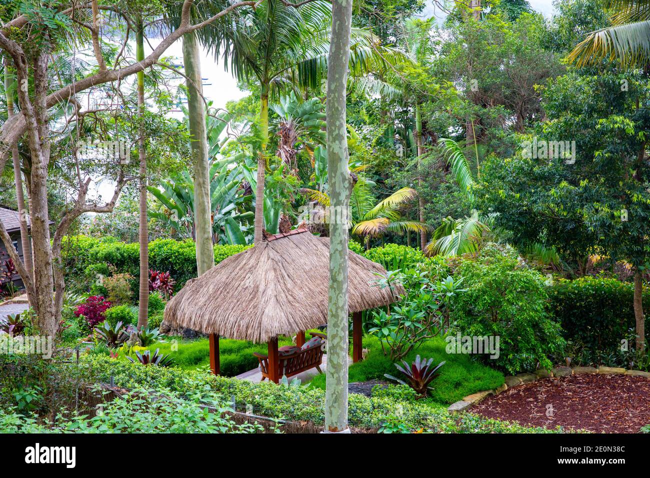 Balinesischer Sitzbereich mit Dach in einem Sydney Northern Beaches Garden, Sydney, Australien Stockfoto