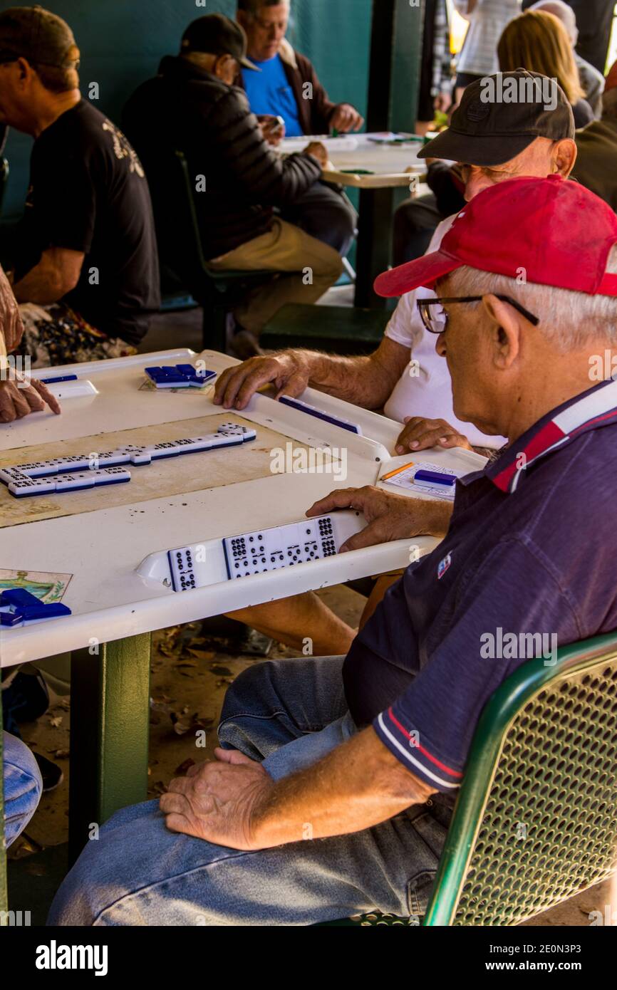 Dominospiele im Maximo Gomez Park, (Domino Park), Little Havana District, Miami, Florida. Stockfoto