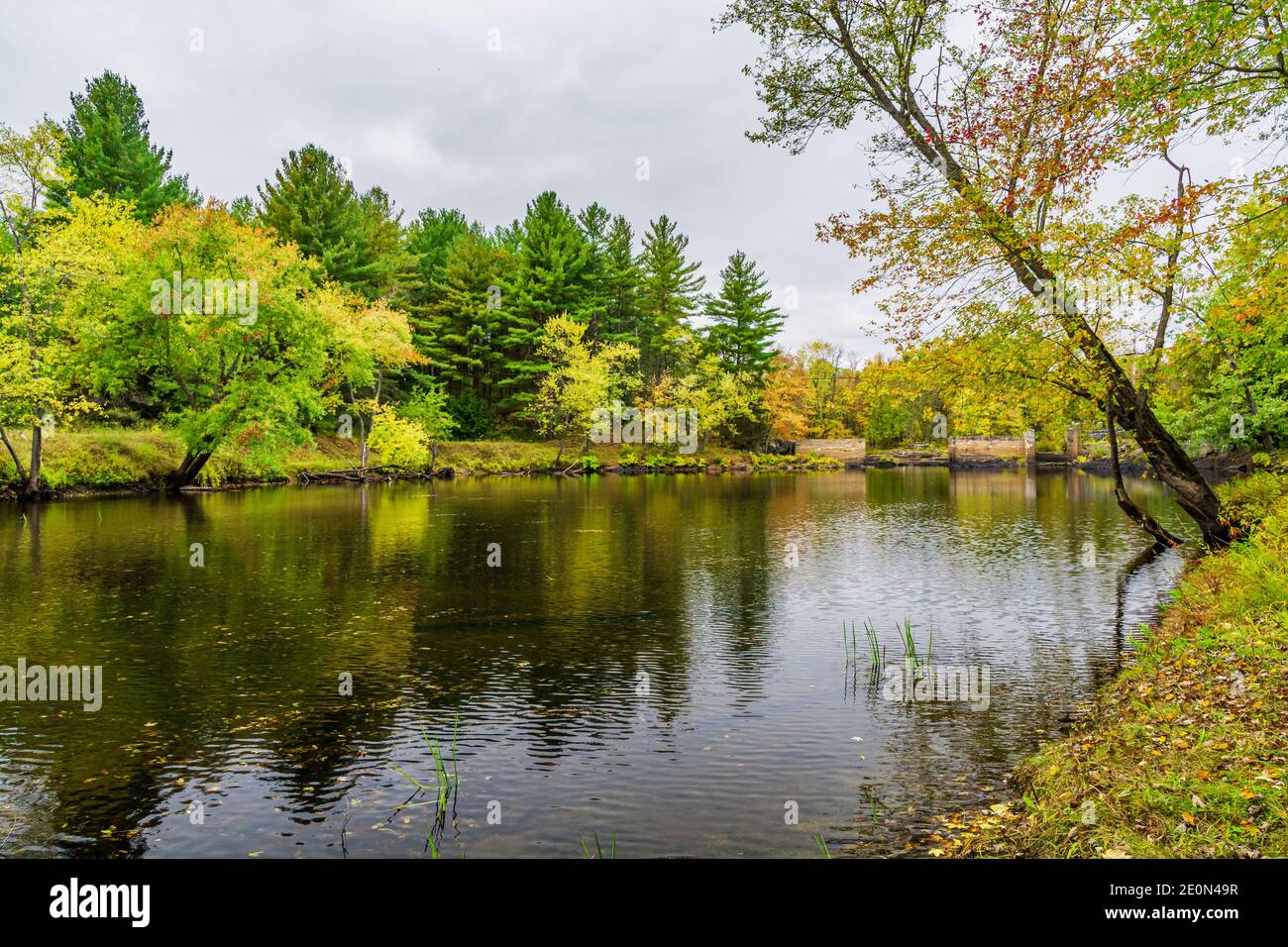 Price Conservation Area Hastings County Tweed Ontario Kanada im Herbst Stockfoto