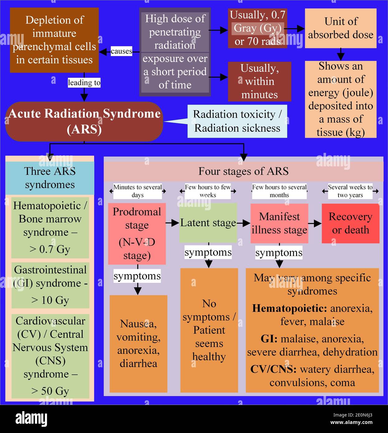 Akutes Strahlungssyndrom wird durch eine hohe Dosis der eindringenden Strahlenexposition über einen kurzen Zeitraum verursacht. Stockfoto