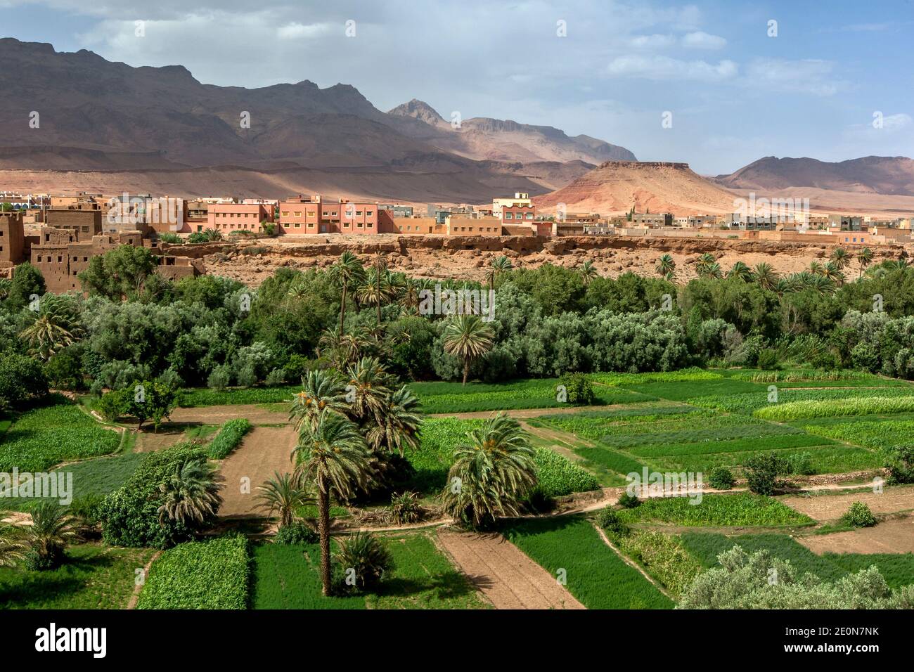 Ein Teil der üppigen Oase Tinerhir in Marokko, wo Obst und Gemüse angebaut werden. Tinerhir ist eine Stadt südlich des Hohen Atlas. Stockfoto