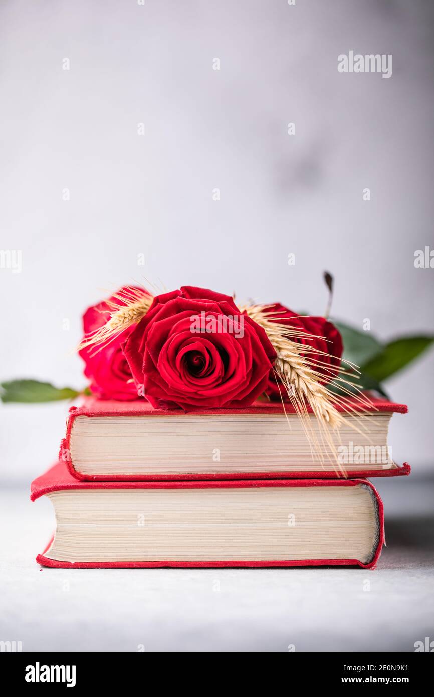 Rose und Buch, traditionelles Geschenk für Sant Jordi, den Saint Georges Day. Es ist Kataloniens Version des Valentinstag Stockfoto