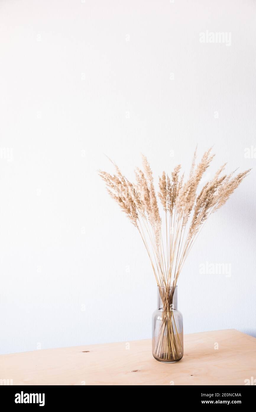 Getrocknete Blumen in einer Glasvase mit leerem Licht Wand für minimalistische Einrichtung Stockfoto
