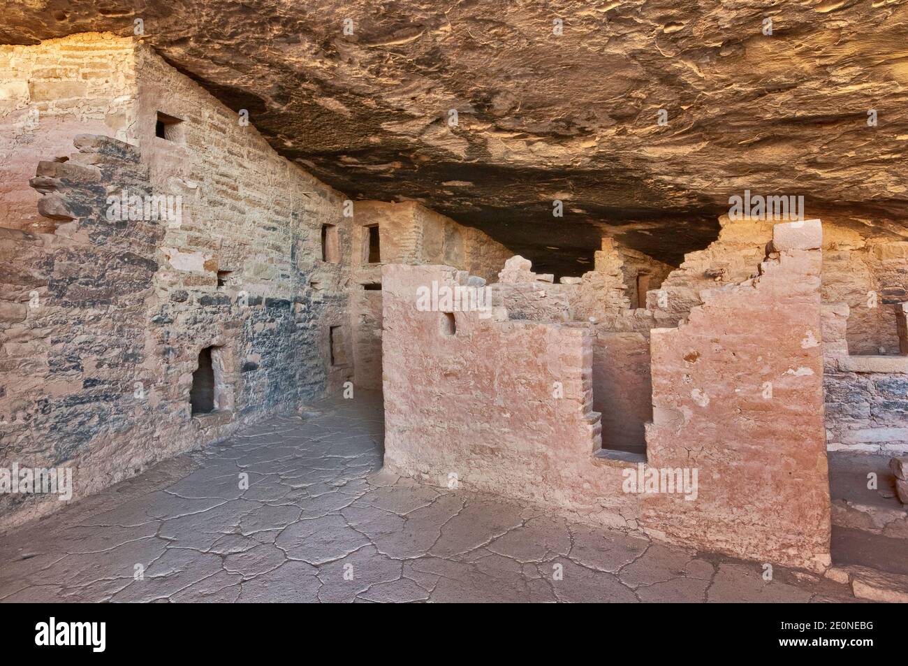 Spruce Tree House Ruinen im Alkoven im Chaplin Mesa in Mesa Verde Nationalpark, Colorado, USA Stockfoto