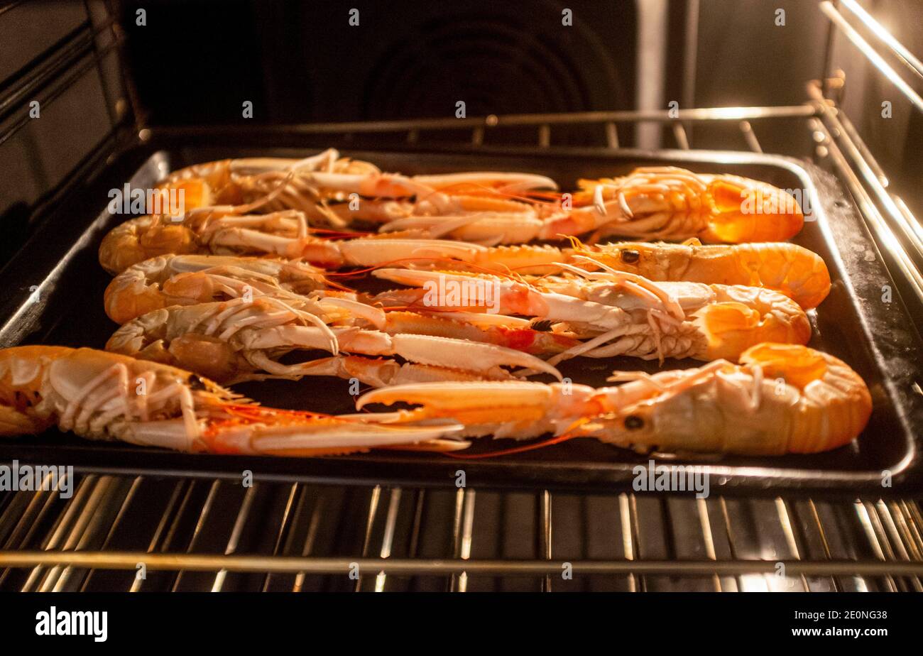 Schottische Langoustines Kochen in einem elektrischen Ofen Stockfoto