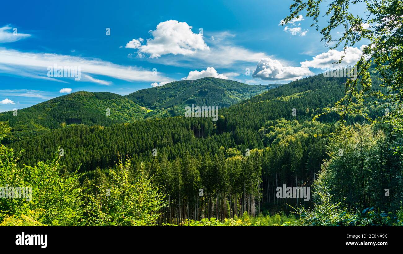 Deutschland, Schwarzwald, Grüne baumbedeckte Berge mit blauem Himmel im Sommer in unberührter Naturlandschaft nahe dem Gschasikopf Stockfoto