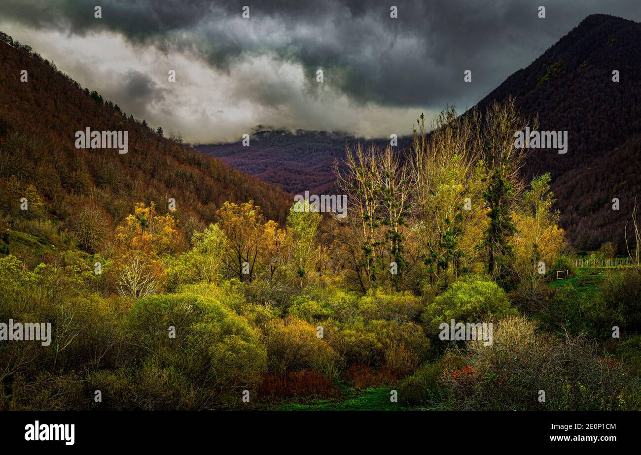Herbstfarben der Vegetation und Landschaft des Val Fondillo in den Abruzzen Latium und Molise Nationalpark. Abruzzen, Italien, Europa Stockfoto