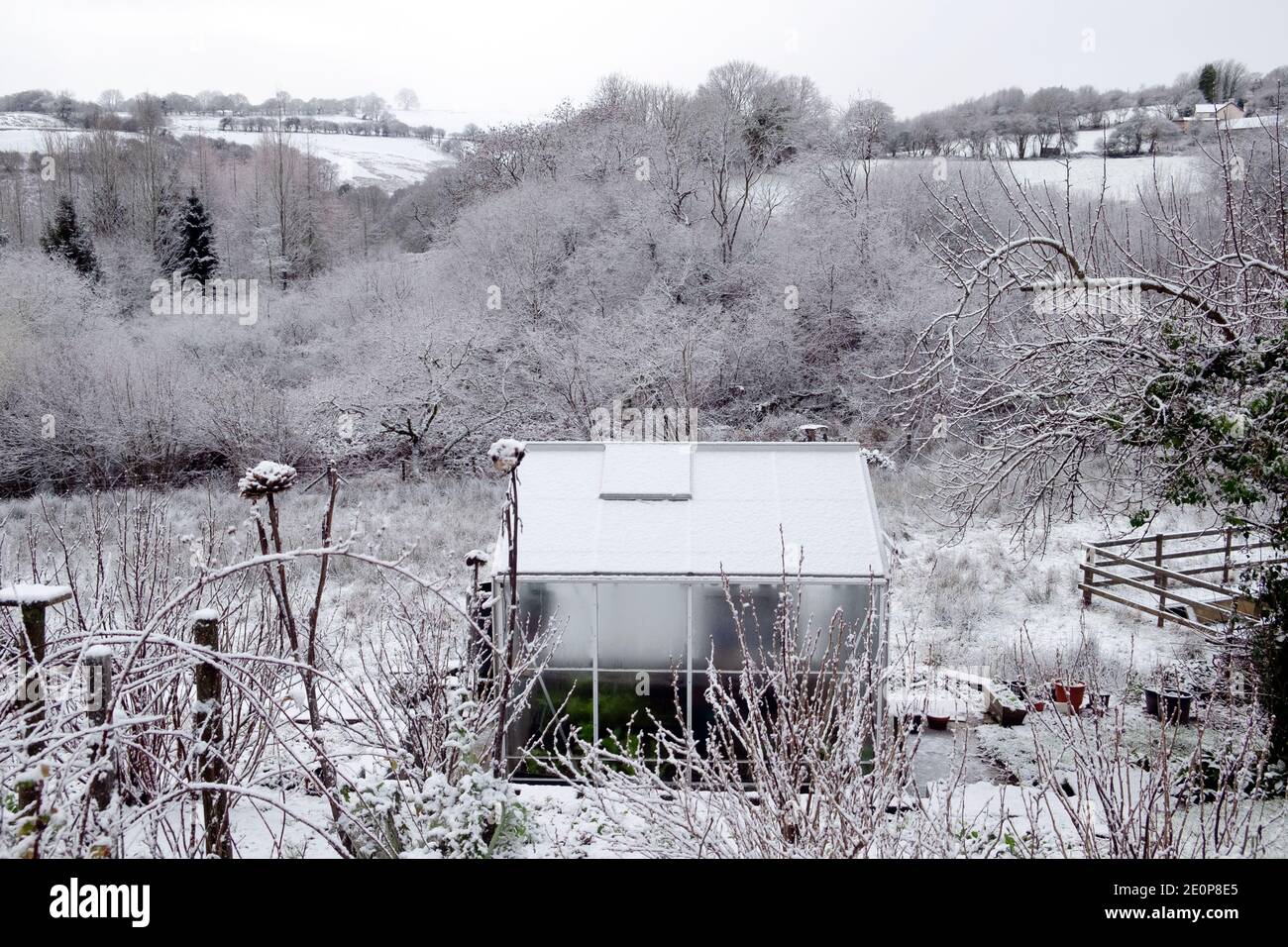 Gewächshaus im verschneiten Winter Schnee Landschaft Garten in schönen ländlichen Landschaft im Land Dezember 2020 Carmarthenshire Wales Stockfoto