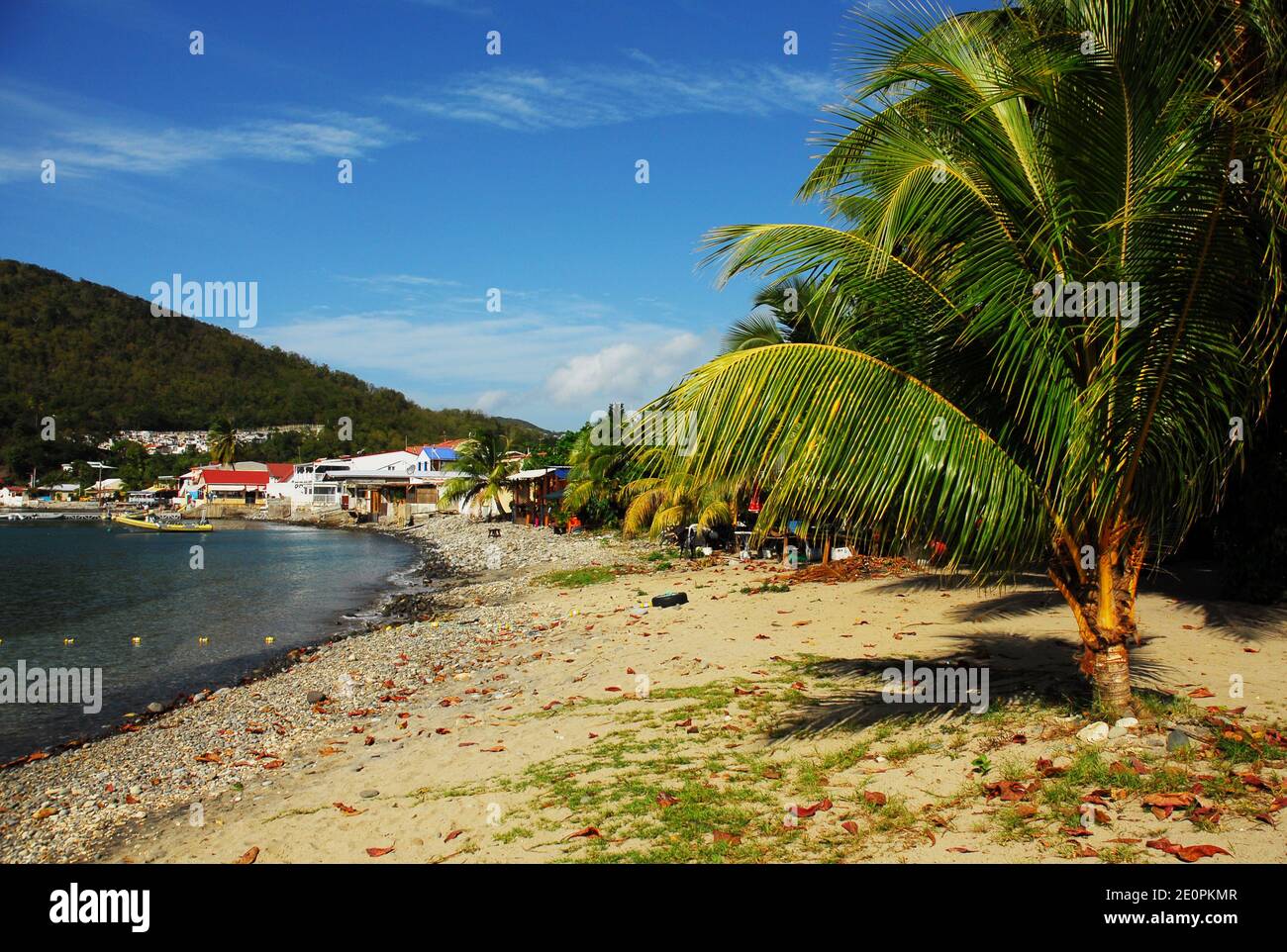 Karibik: Guadeloupe: Deshaies Bay Stockfoto