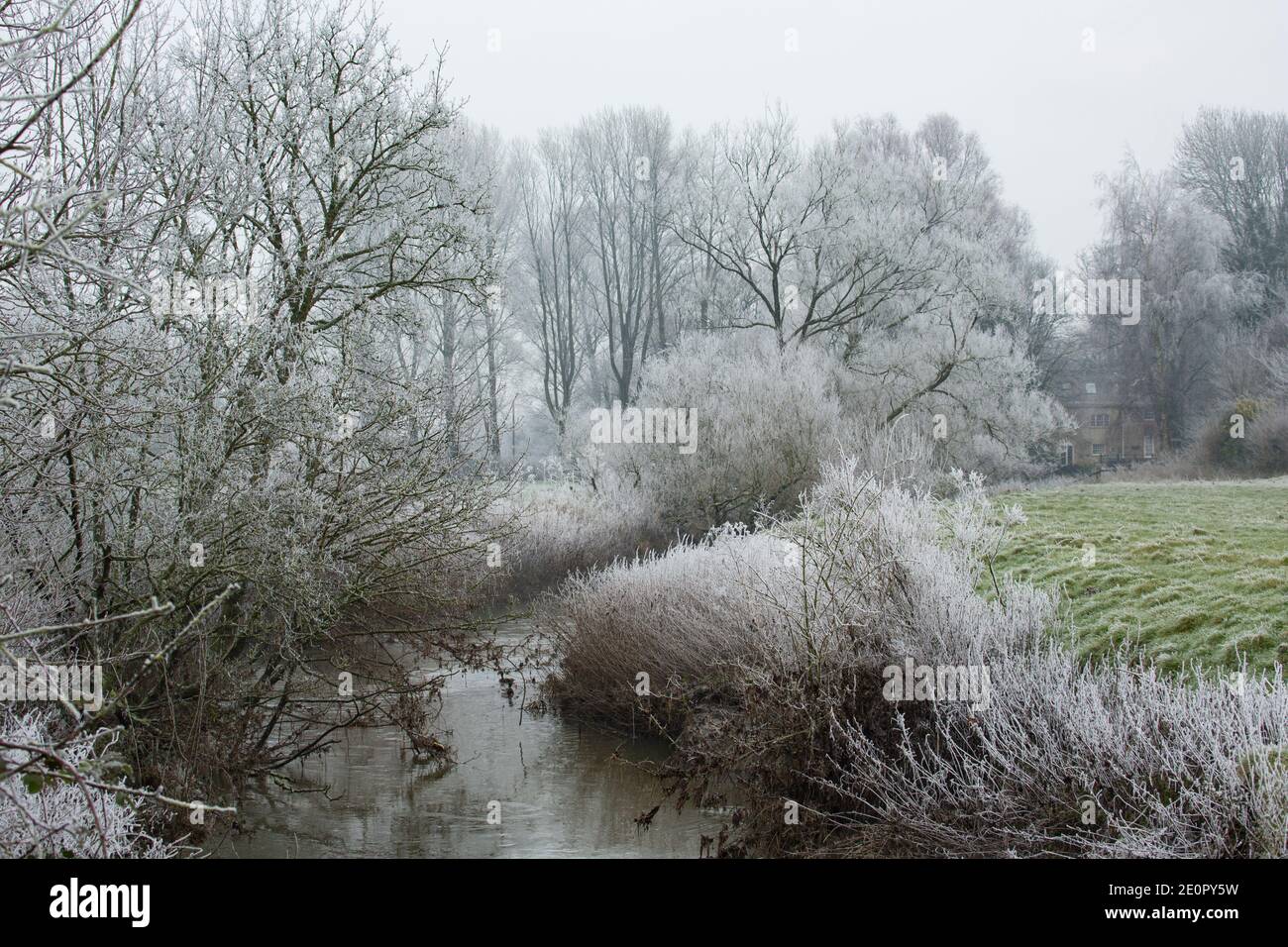 Frostbewachsene Vegetation am Ufer der Dorset Stour nach einer Nacht eisiger Temperaturen am Neujahrstag 2021. Gillingham Dorset Engl Stockfoto