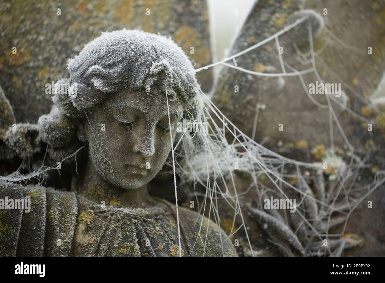 Ein geschnitzter Steinengel in einem mit Frost und Spinnweben bedeckten Garten der Erinnerung nach einer Nacht eisiger Temperaturen am Neujahrstag 2021. Stockfoto