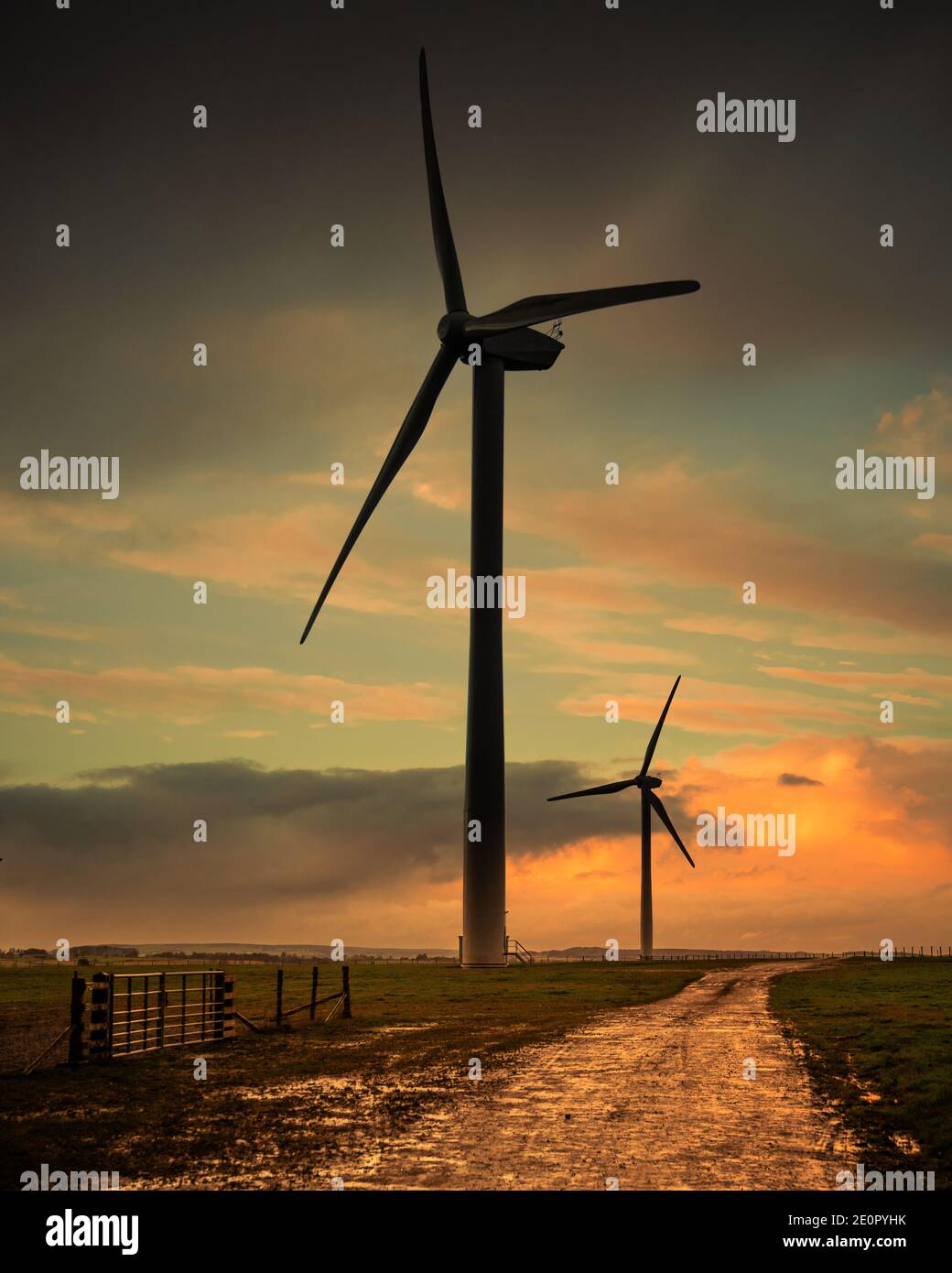 Windpark bei Sonnenuntergang, saubere Energie Stockfoto