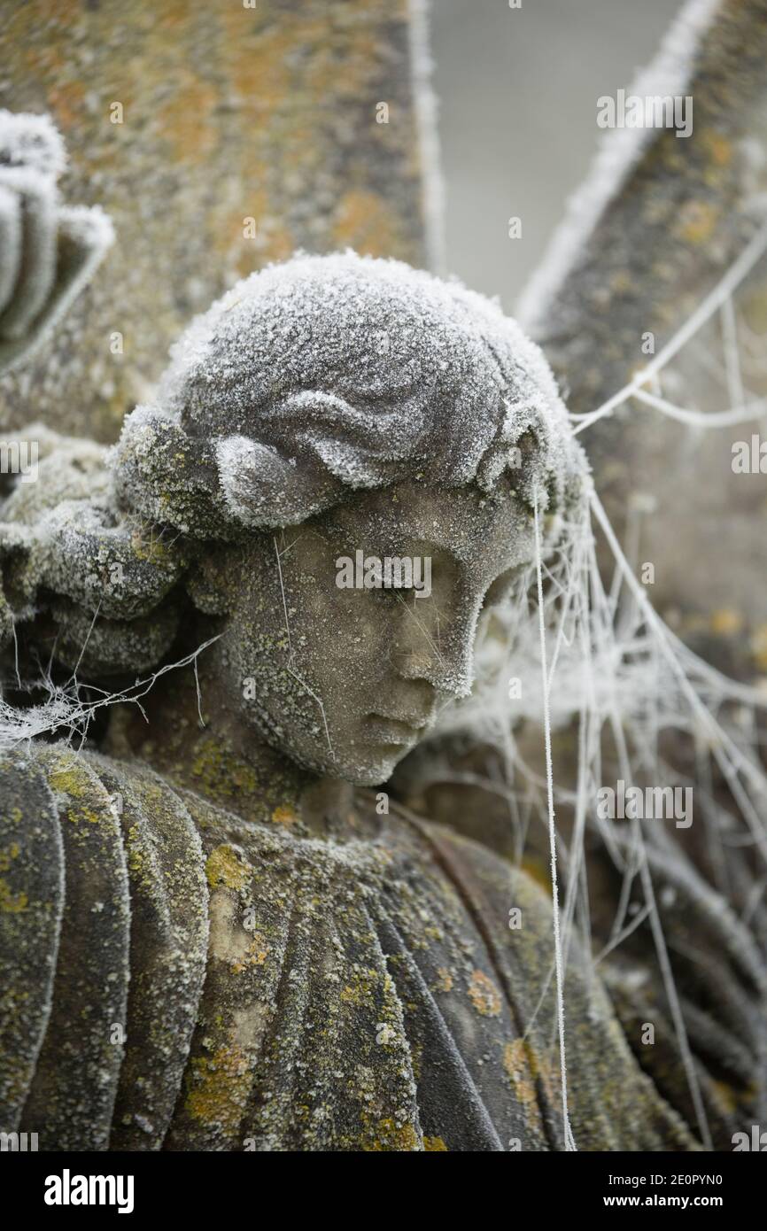 Ein geschnitzter Steinengel in einem mit Frost und Spinnweben bedeckten Garten der Erinnerung nach einer Nacht eisiger Temperaturen am Neujahrstag 2021. Stockfoto