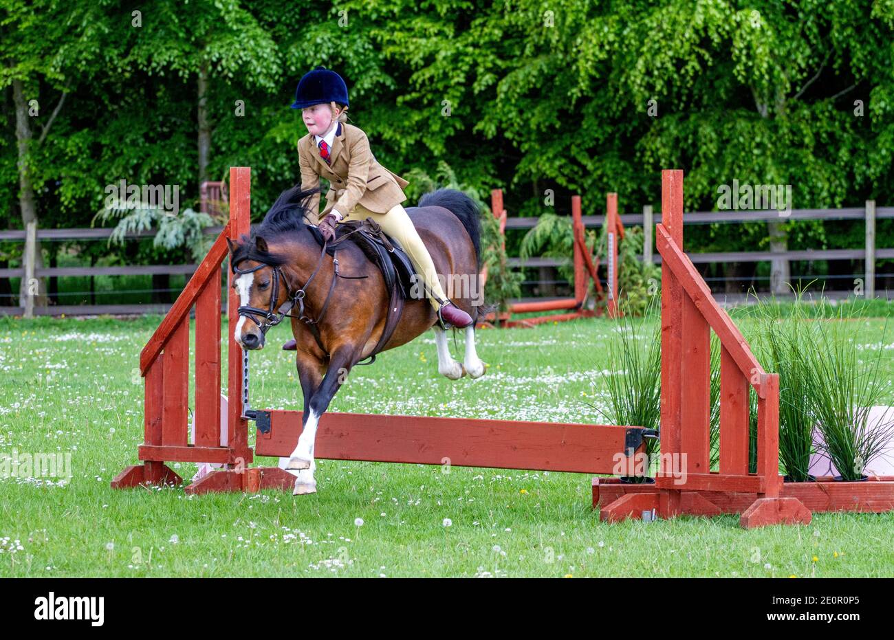 Inchcoonans Equestrian ist Perthshires Premier Competition Yard & Livery Facility. Inchcoonans liegt zwischen dem Royal Burgh von Perth, am Rande des kleinen historischen Dorfes Errol. Am 21. Mai 2017, einem nassen und regnerischen Tag, werden verschiedene Klassen von Preispferden aus der Umgebung von Tayside und Perth & Kinross herumgeführt und nehmen dann an den Reitwettbewerben in Schottland, Großbritannien, Teil Stockfoto