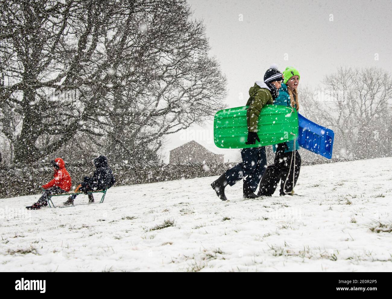 Downham, Clitheroe, Lancashire, Großbritannien. Januar 2021. Ein Schneesturm auf Pendle Hill in der Nähe von Downham, Clitheroe, Lancashire überrascht Menschen Rodeln und Wanderer . Kredit: John Eveson/Alamy Live Nachrichten Stockfoto