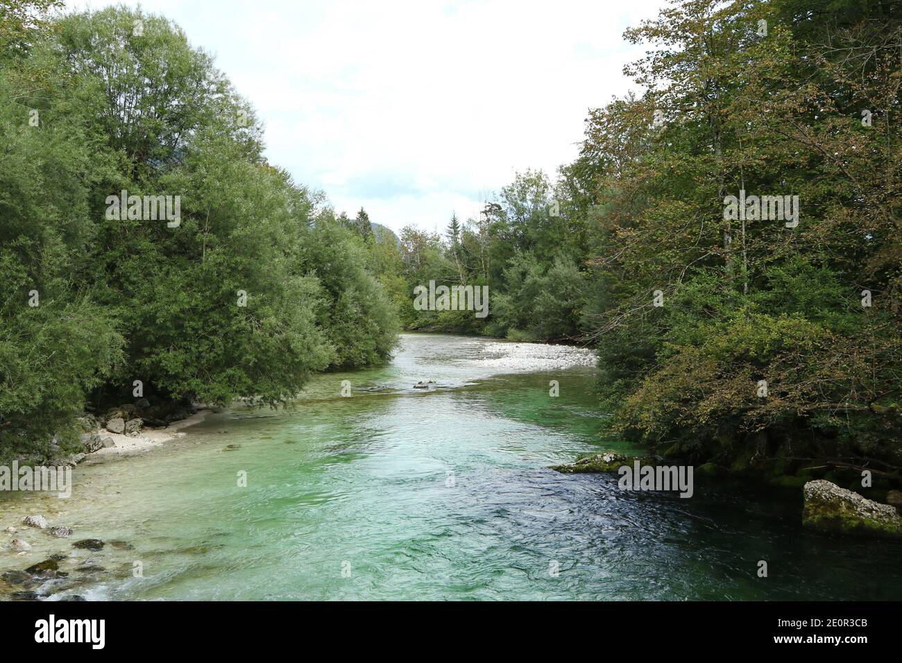 Fluss Sava Bohinjka mit türkisfarbenem Wasser, Triglav Nationalpark, Bohinj, Slowenien Stockfoto