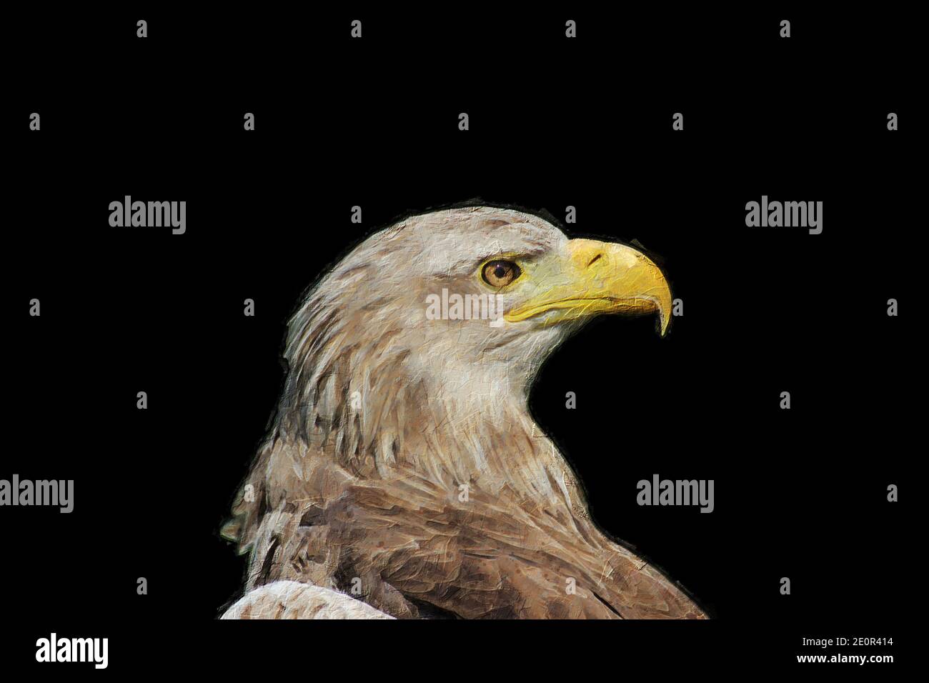 Abbildung eines braunen Adlerkopfes isoliert auf einem schwarzen Hintergrund Stockfoto