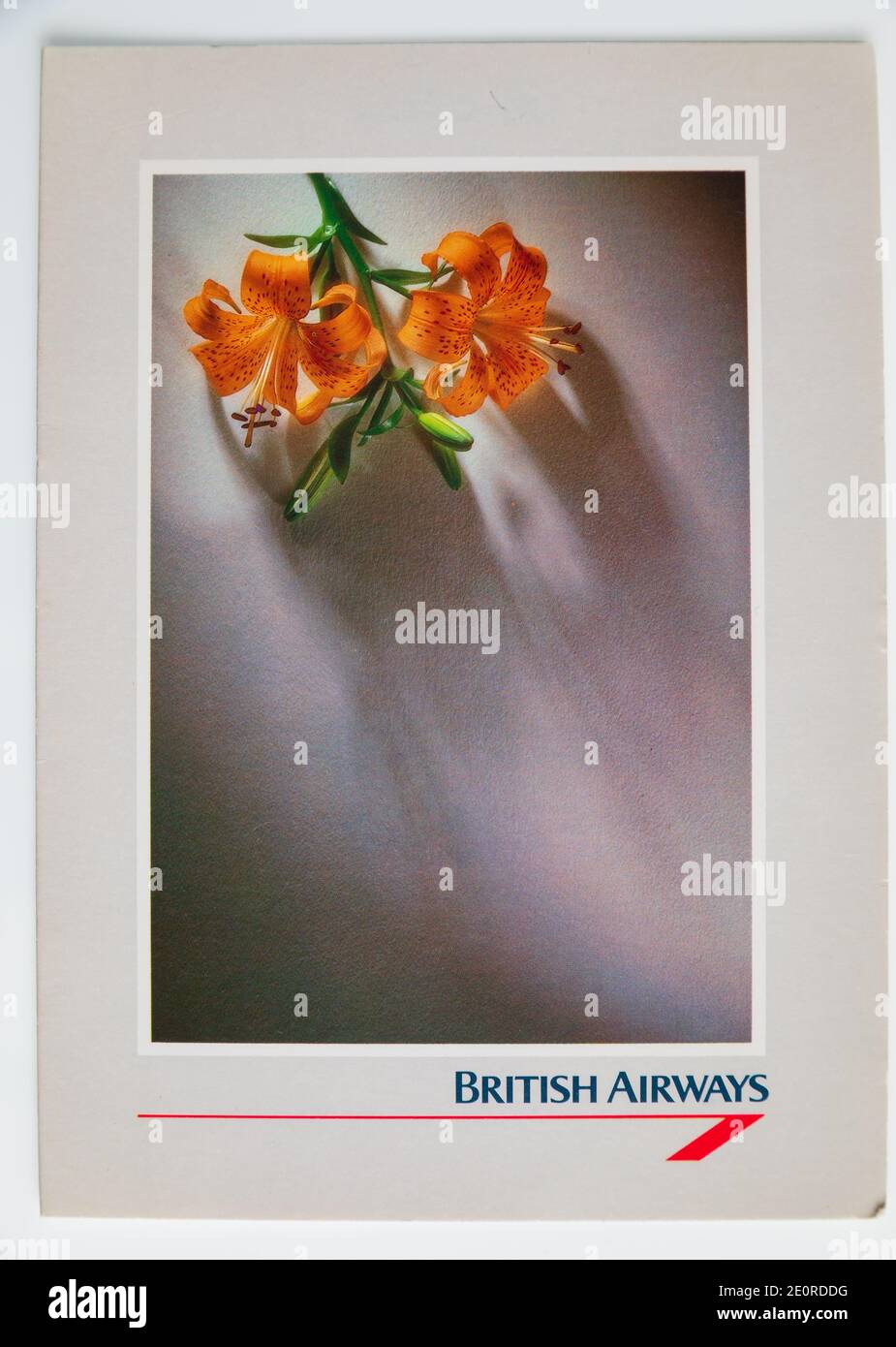 British Airways London Heathrow nach USA Transatlantic Flight menu Card aus den 1980er Jahren, zeigt ein Bild von lilium, Liliengewächse Verzauberung. Stockfoto