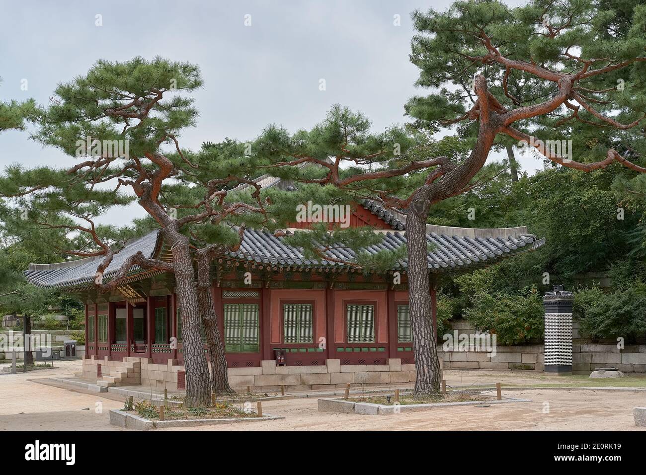Von Bäumen umgebenes Hallengebäude im Changgyeonggung Palace, Seoul, Südkorea Stockfoto
