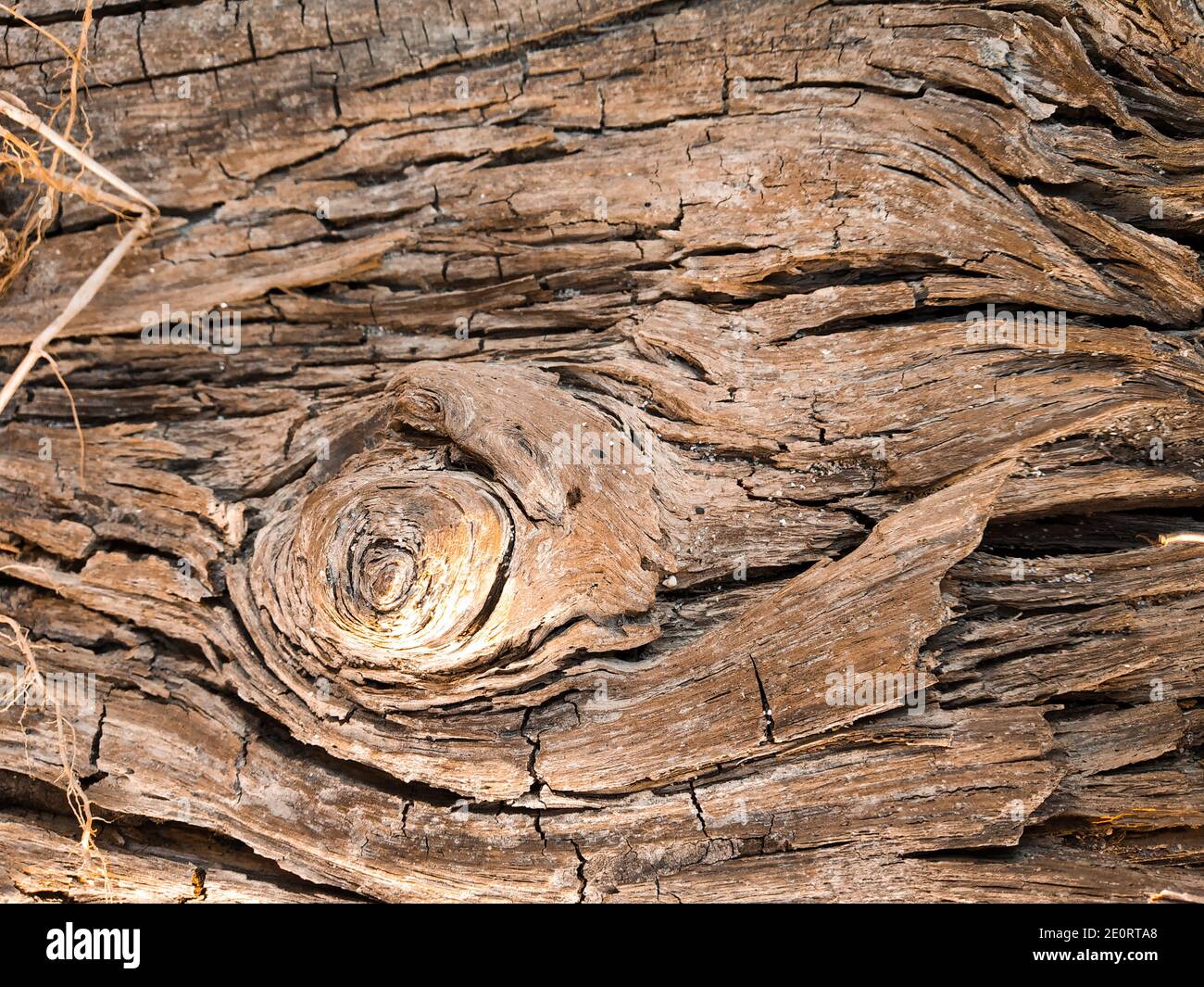 Nahaufnahme alten Holz Maserung Textur . Holzstruktur Hintergrund. Braune Holzstruktur, alte Holzstruktur, alte rissige und verfaulte Stück.Muster auf dem alten Plan. Stockfoto