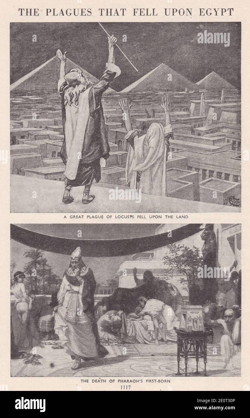 Die Plagen, die über Ägypten fielen - EINE große Heuschreckenplage fiel auf das Land / der Tod des Pharao Erstgeborenen. Stockfoto