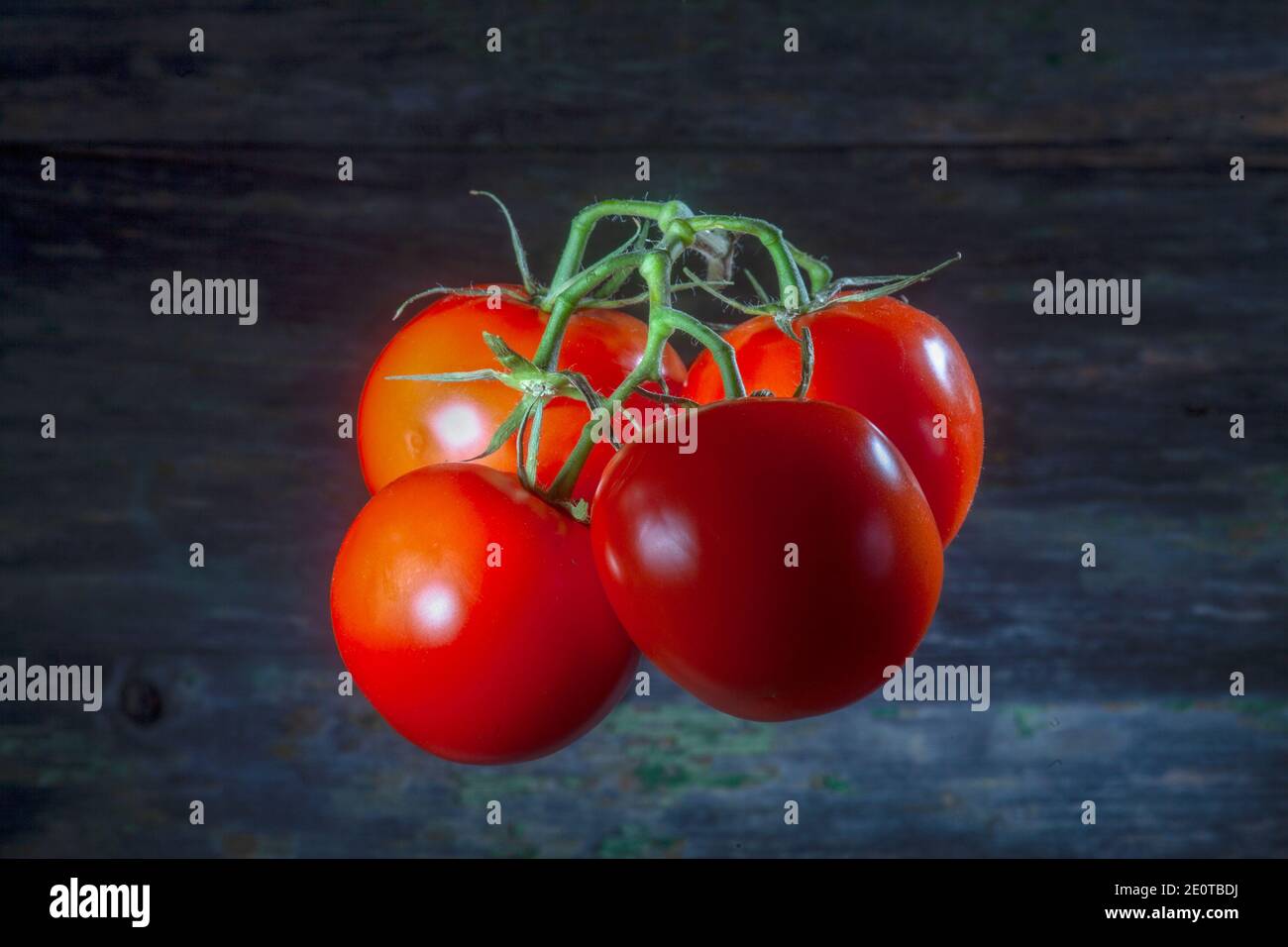 Vier Shinny Lebendige Rote Tomaten Levitating Infront Hintergrund. Unsichtbare Schatten.Art von Magie. Stockfoto