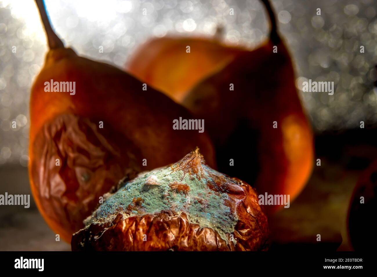 Frische Form auf Rotten Birnen Stillleben. Nahaufnahme Makrofoto. Selektiver Fokus auf Form. Mit Silbernem Bokeh Hintergrund. Stockfoto