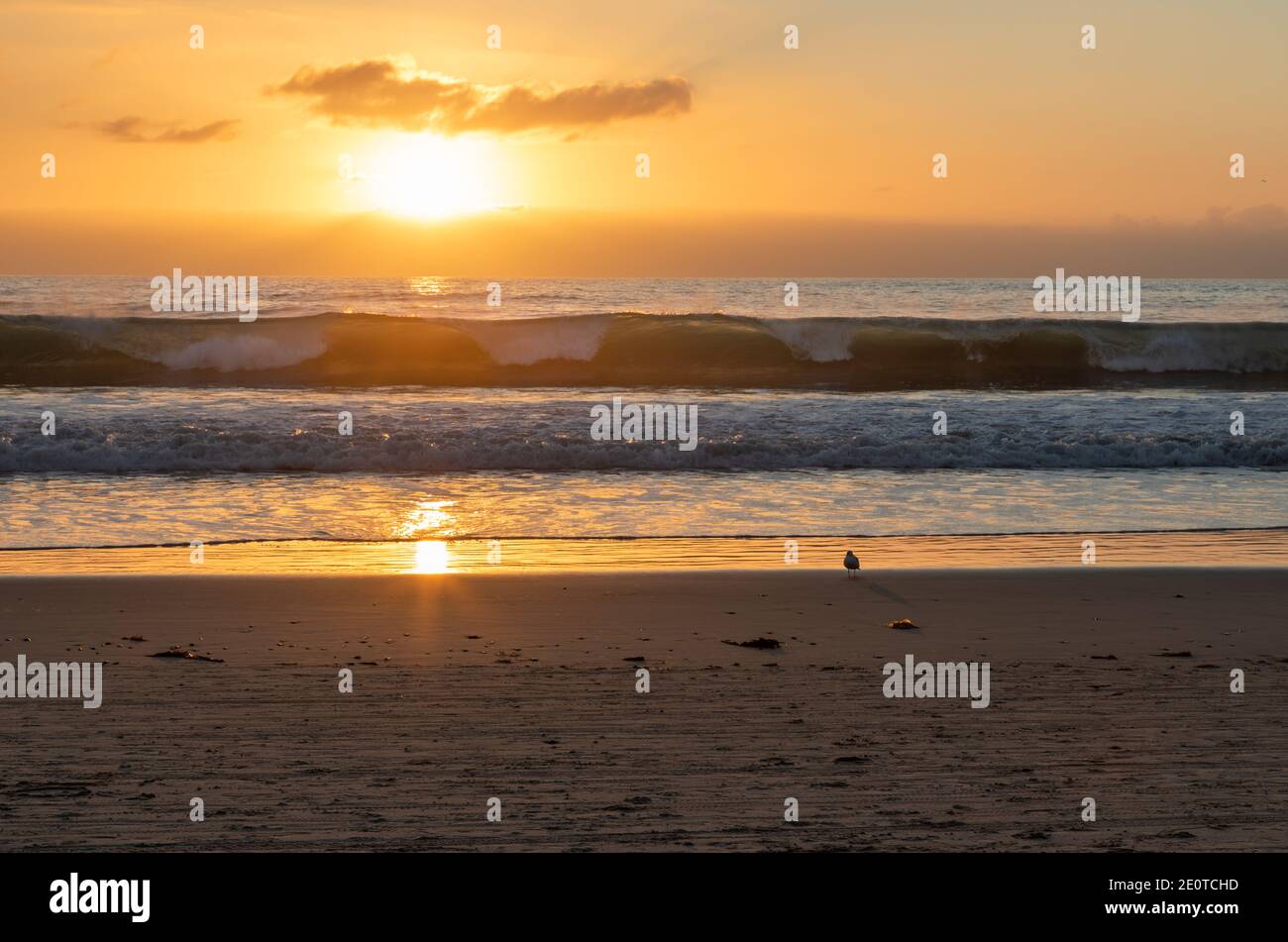 Eine helle untergehende Sonne in einem orangefarbenen Himmel erhellt Ozeanwellen von hinten, während sie auf einen Sandstrand stürzen. Stockfoto