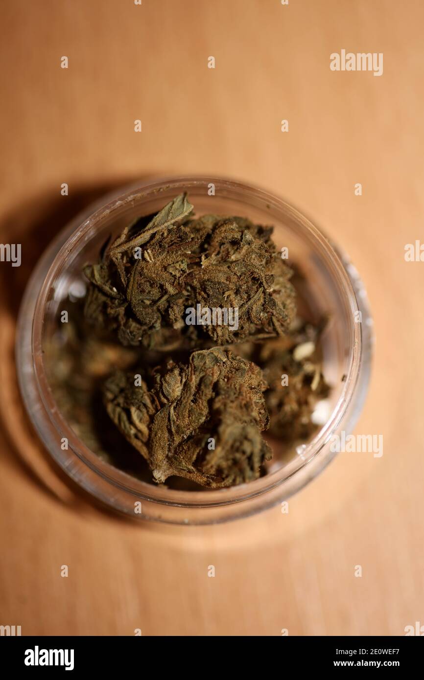 Medizinische Marihuana pharmazeutische Verwendung cbd super Zitrone Dunst Nahaufnahme moderne hochwertige Drucke. Stockfoto