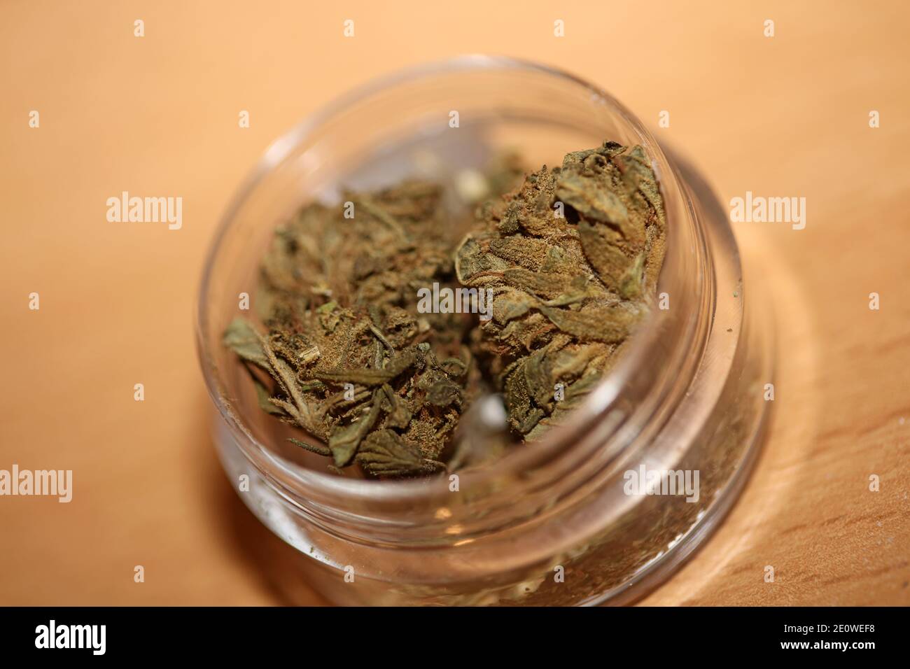 Medizinische Marihuana pharmazeutische Verwendung cbd super Zitrone Dunst Nahaufnahme moderne hochwertige Drucke. Stockfoto