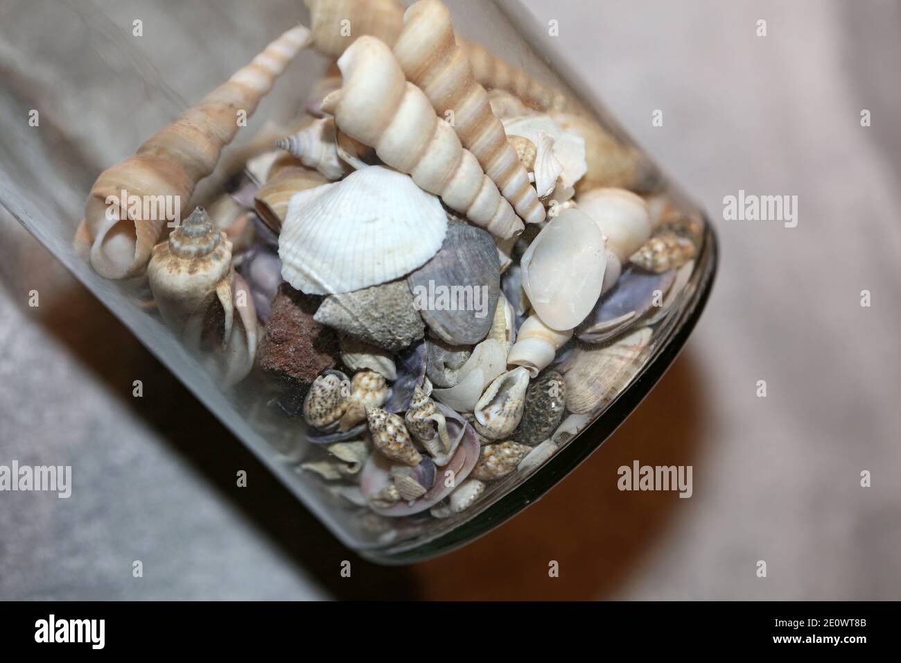 Strand Muscheln Nahaufnahme Sommer Stimmung modernen Hintergrund hochwertige Drucke. Stockfoto