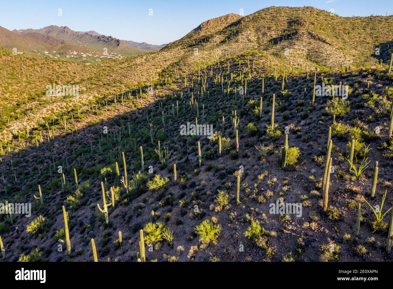 Grundstück des JW Marriott Starr Pass Resort Hotel, Tuscon, AZ, USA Stockfoto