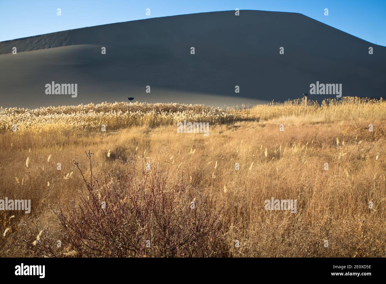 Crescent Moon Lake und hallende Sande, Dunhuang, Provinz Gansu, China Stockfoto