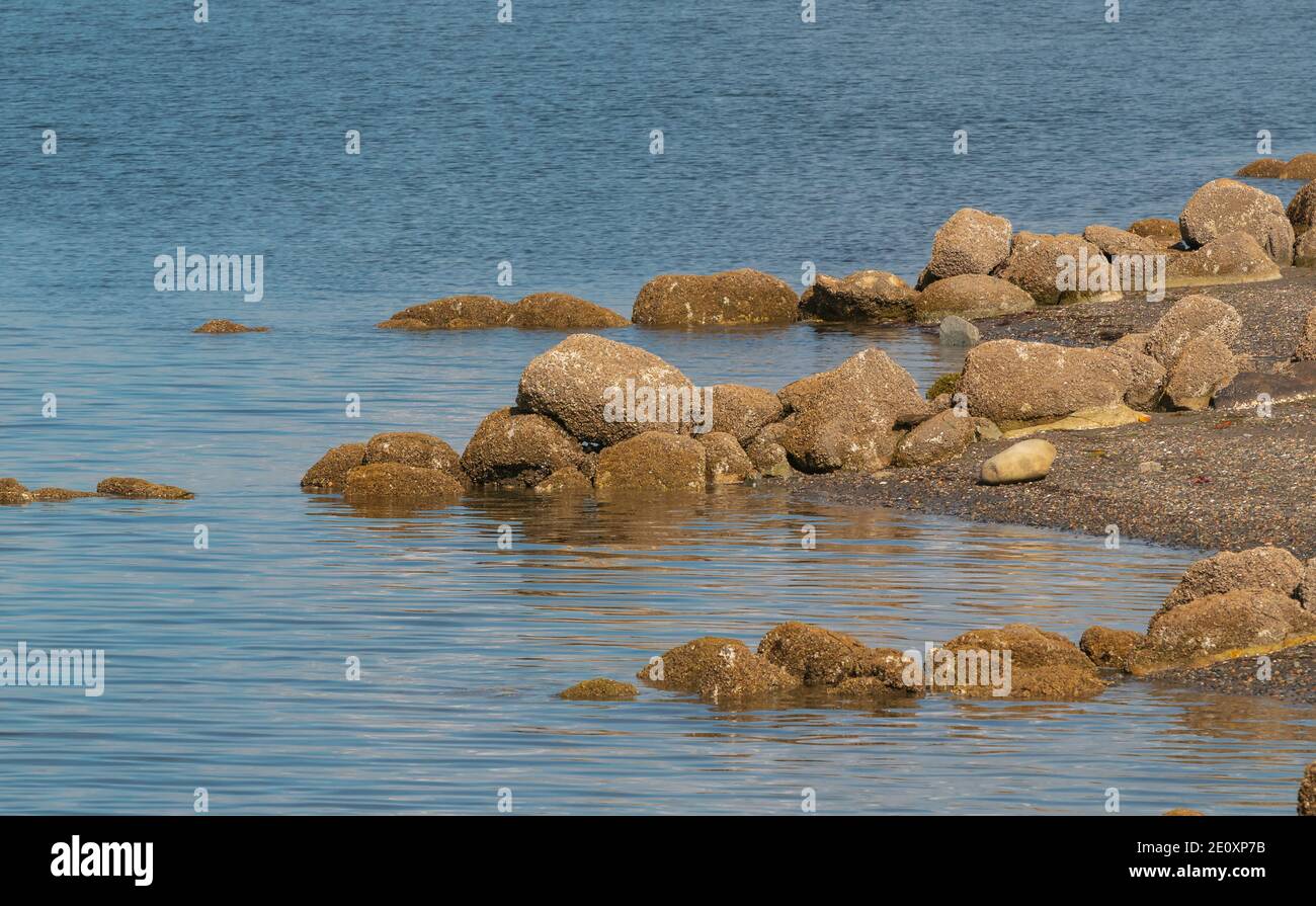 Felsige Küste im pacific Rim Nationalpark auf vancouver Island, british columbia, kanada. Selektiver Fokus, Reisefoto, Straßenansicht Stockfoto