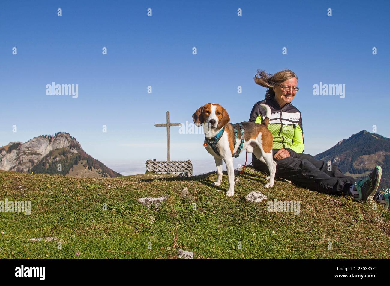 Beagle Mit Besitzer Trotzen Sie Dem Starken Südwind, Auch Föhnsturm Auf Dem Kranzhorn In Den Chiemgauer Alpen Genannt Stockfoto