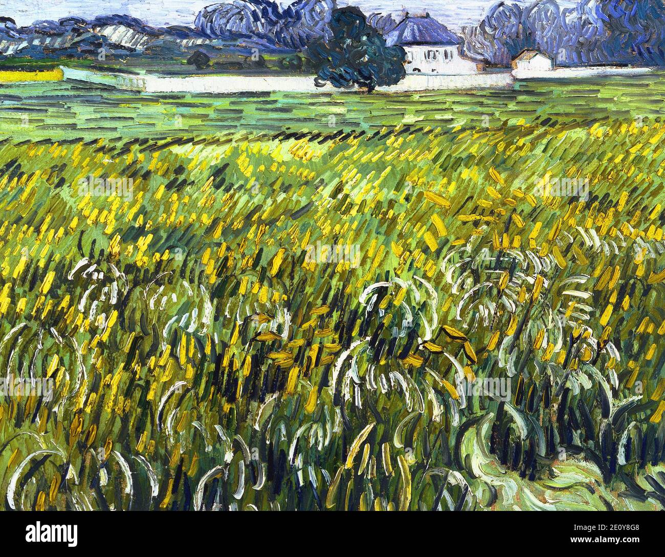 The Wheat Field at Auvers with White House von Vincent Van Gogh 1890. The Phillips Collection in Washington, USA Stockfoto