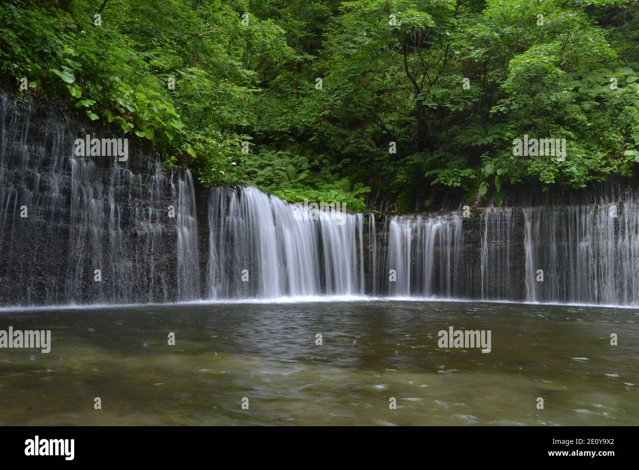 Shiraito Wasserfall Stockfoto