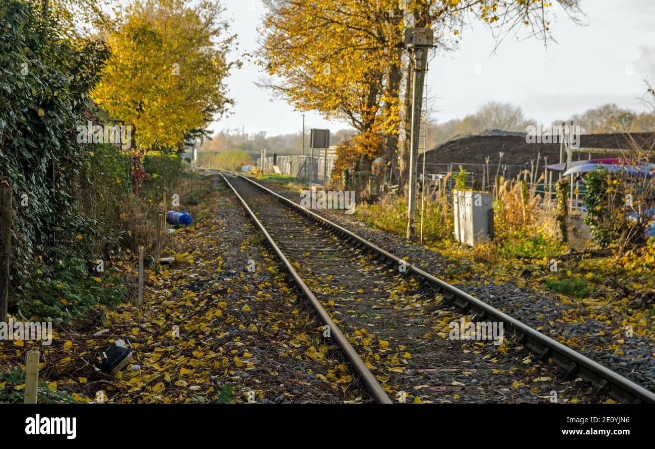 Blick auf eine einzige Eisenbahnstrecke mit gefallenen gelben Herbstblättern. Bourne End, Buckinghamshire. Stockfoto