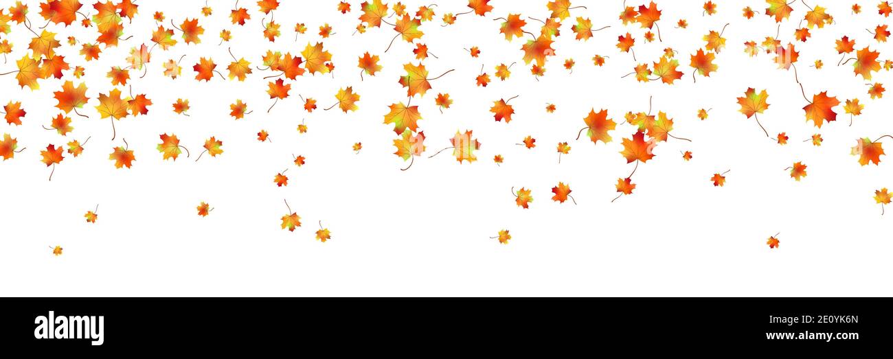 Horizontales Muster hell getrockneten Ahorn Herbst Laub auf weiß isoliert. Grafisches Design Herbst Symbol. Rot orange gelbe Herbstblätter mit sh Stock Vektor