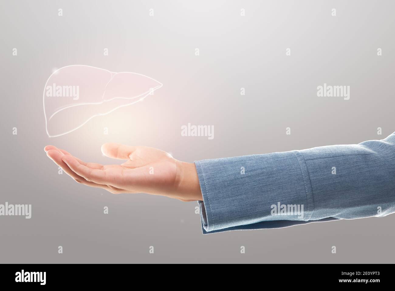 Ärztin mit Leberillustration vor grauem Hintergrund. Das Konzept des Schutzes von Lebererkrankungen und der Gesundheitsversorgung. Stockfoto