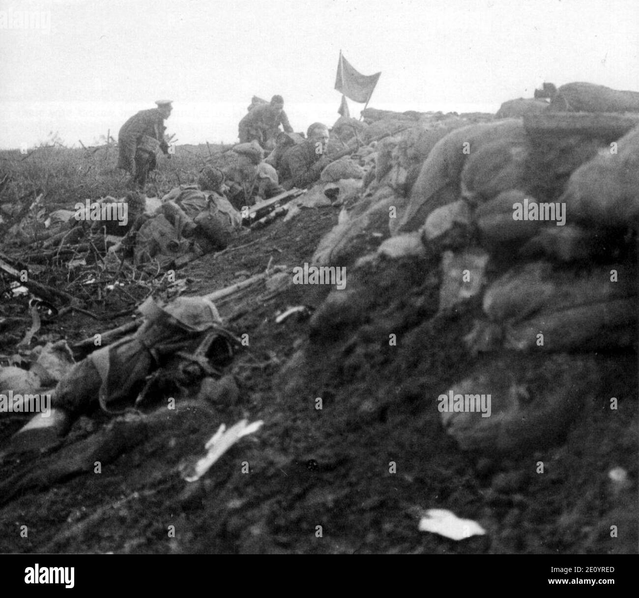 Liverpool Scottish Bellewaarde Farm 16 Juni 1915 Q 49750. Stockfoto