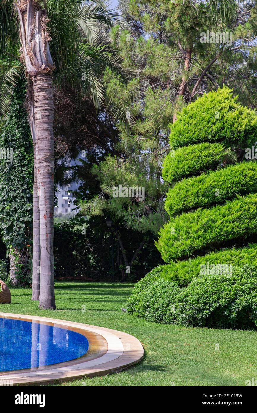 Schwimmbad mit grünem Garten in Luxus-Haus. Stockfoto