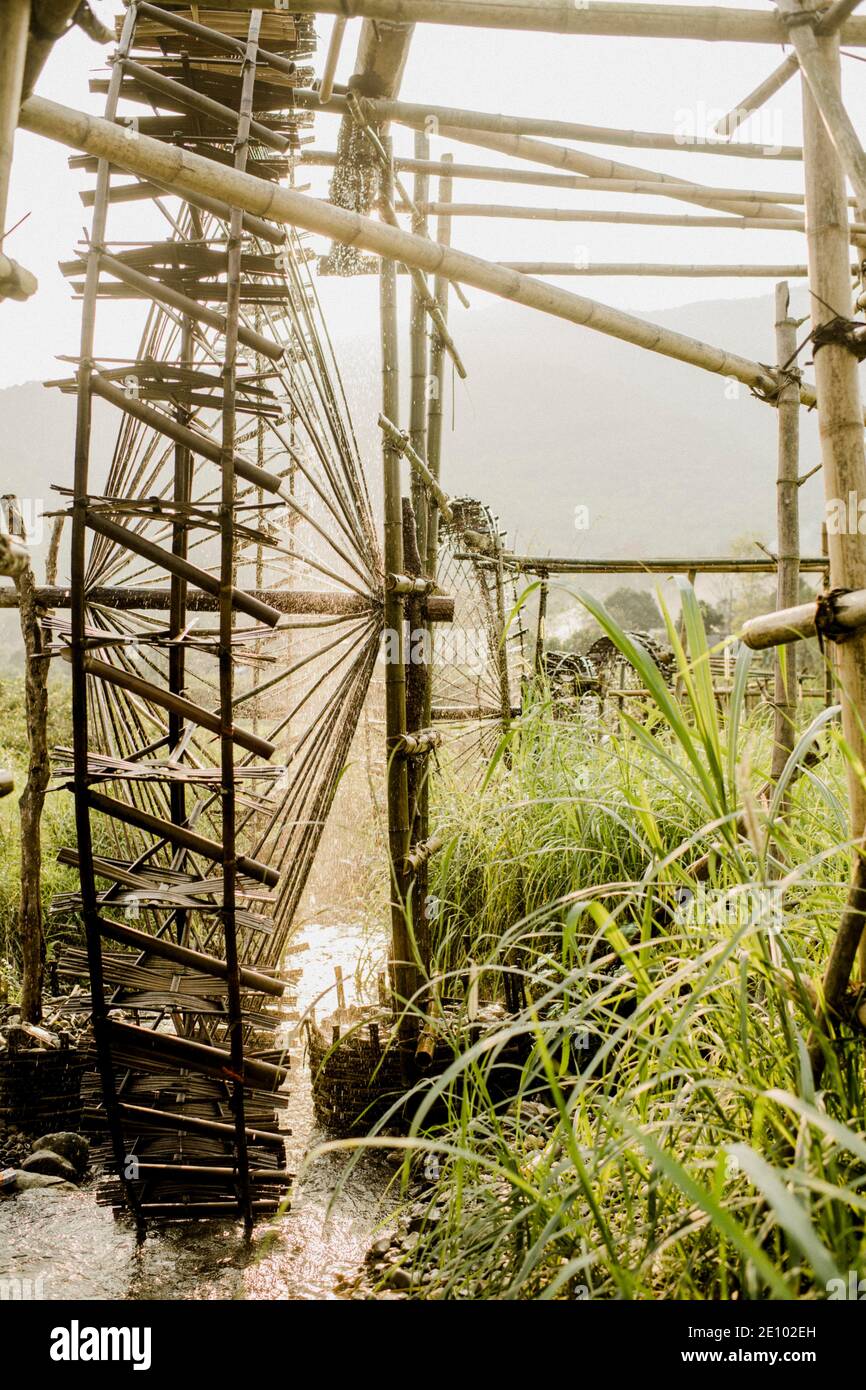 Bewässerung von Reisfeldern mit Wasserrädern aus Bambus, Vietnam, Asien Stockfoto