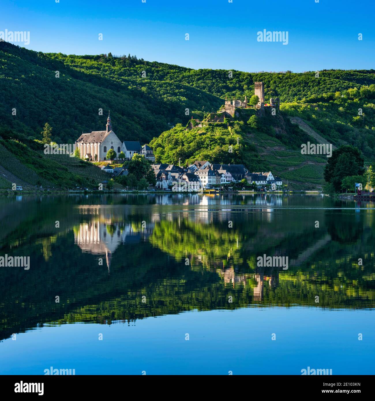 Winzerdorf Beilstein mit Karmelitenkirche und Burgruine Metternich umgeben von Weinbergen, Spiegelung in der Mosel, Beilstein, Rh Stockfoto